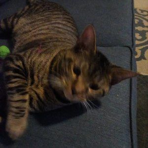 Meet your Posher, Deborah